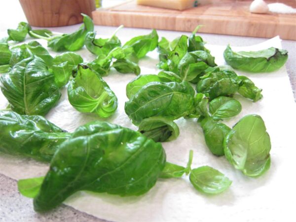 Genovai pesto 2