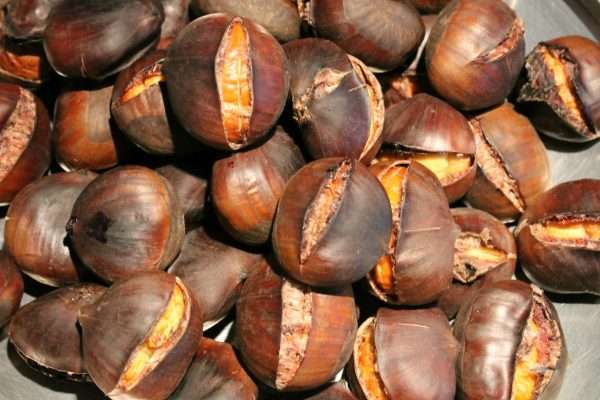 Sült gesztenye
