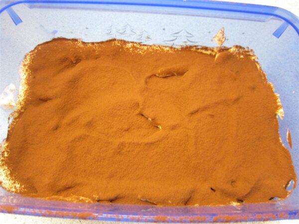 Tiramisu 12