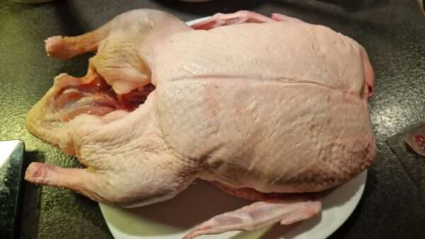 Egész kacsa kiolvasztása