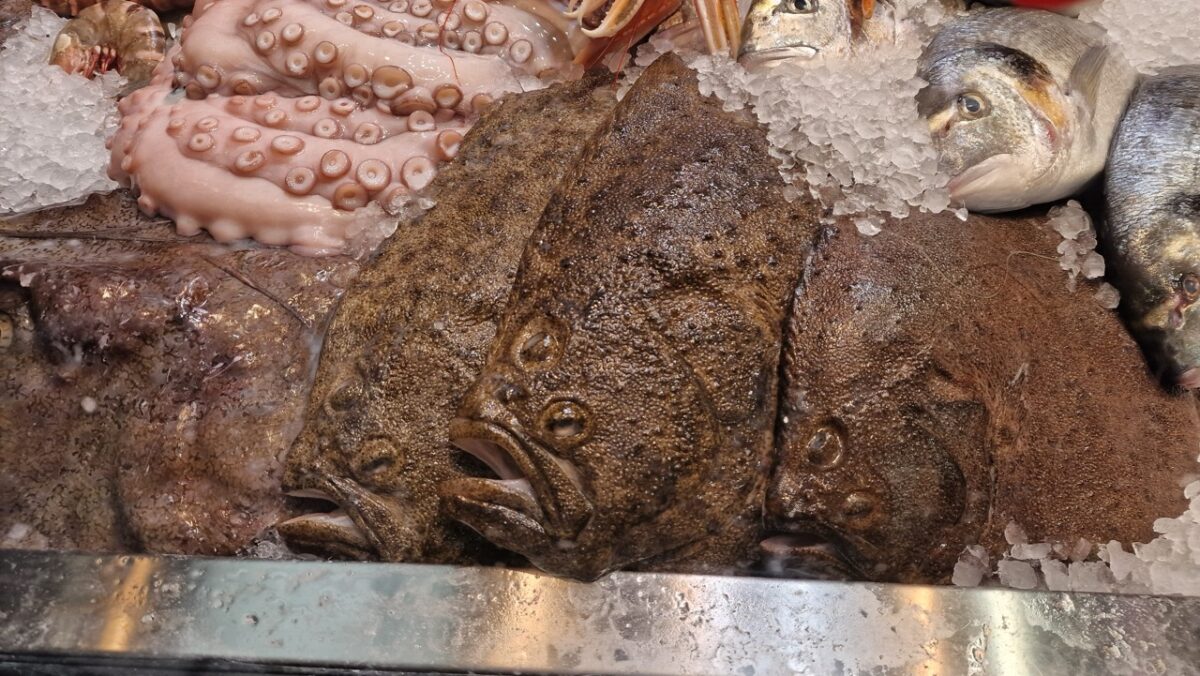 Lepényhal