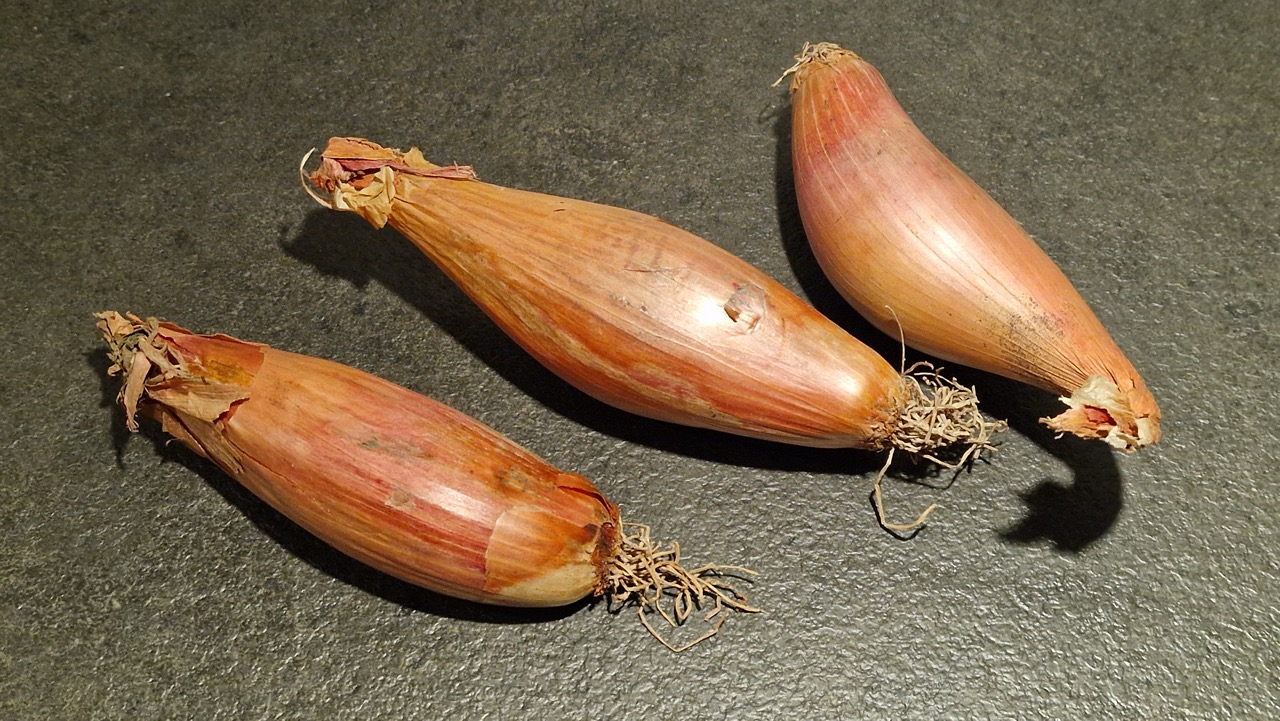 Mogyoróhagyma
