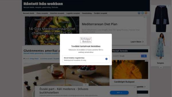 Rántott hús wokban honlap AdSense reklám 1